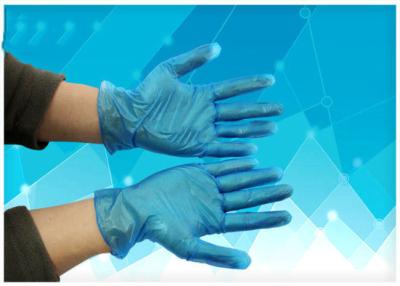 中国 多目的の青い外科手袋、ビニールの検査の手袋は自由な粉になりましたり/粉 販売のため