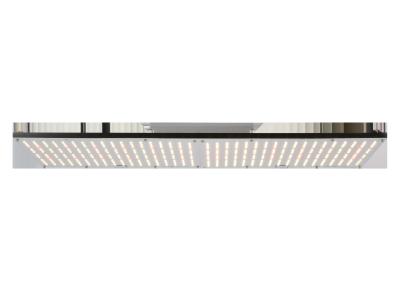 China Ultraviolet 240W Samsung  LM301B Quantum Board Grow Light for sale