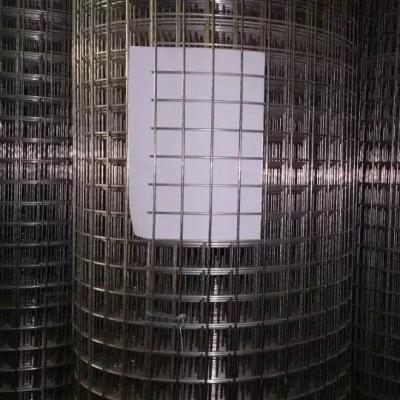 Chine Largeur 0,5 m-2,5 m Maillage de fil de fer soudé Maillage à rasoir trempé à chaud à vendre