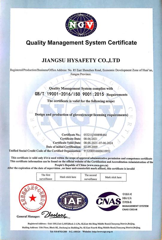 ISO9001 - Shanghai Hygloves Co., Ltd