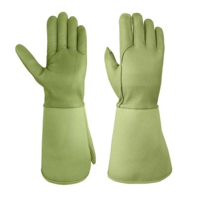 China thornproof Rose Pruning Garden Gloves for sale