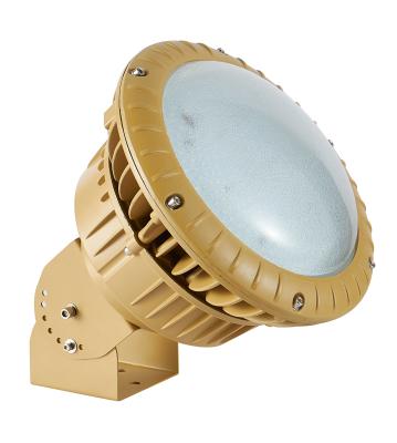 China New-Fbg-120w Exd IIC T6 Gb Explosion Proof Led Light Fixture For Dangerous Area for sale