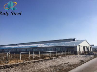 China Large Span Steel Poultry House Prefab House Building Construction for sale