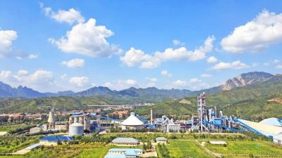 China Planta del cemento del OPC 1000TPD 24 horas que corren control del PLC en venta