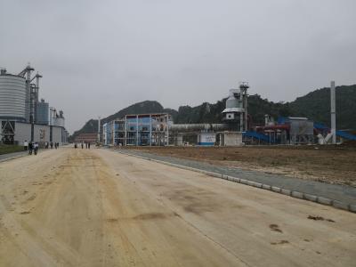 Chine usine active de chaux d'usine de chaux 300tpd rapide à vendre
