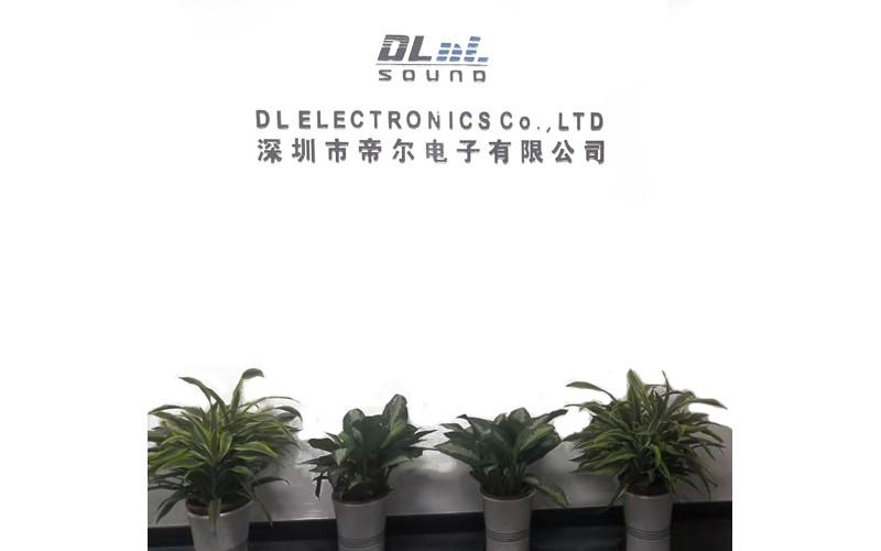 Verified China supplier - DL ELECTRONICS CO.,LTD