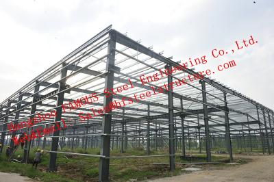 China NZ AS Various Standards Industrial Steel Buildings For Structural Skeleton Framed Steel Building for sale