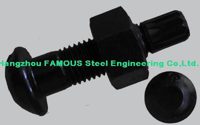 China Steel Buildings Kits Black Bolts And Fasteners With High Tension Hex Bolts for sale