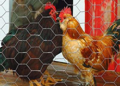 China Yard Guard Poultry Netting Metal Wire Fence Predator Fence For Chickens for sale