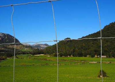China Hochfester Feld-Zaun Metal Wire Fence H2.4m für Bauernhof und Weide zu verkaufen