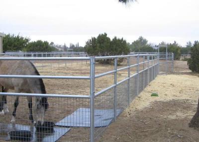 Chine le cheval de fil soudé par 2x4 lambrisse 4 la barrière de cheval soudée par mesure de la mesure 6 à vendre