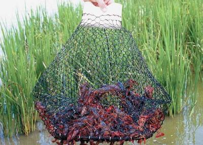Cina Woven Hexagonal Net For Catching Crayfish Wire in vendita
