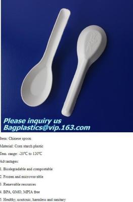 China spoon, folk, knife, tray, disposable plate deli tray, biodegradable breakfast tray, Biodegradable Disposable Food Tray for sale