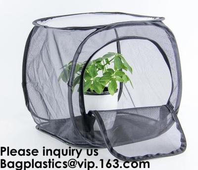 China Agricultural Greenhouses for Tomato Planting,Pop-Up Tomato Plant Protector Serves as a Mini Greenhouse to Accelerate Gro for sale