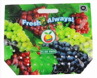 China fruit slider package Bag, Fruit Laminated Bunch Bag Slider Zipper Bags Apple / Grape Laminated Bunch Bag for sale