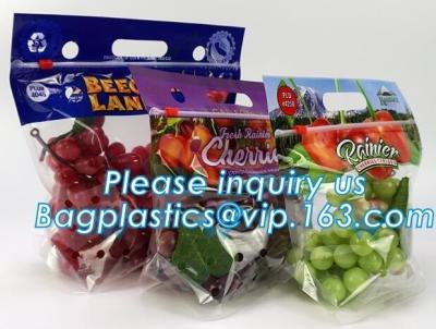 China reusable clear printed zippered storage slider bag for vegetables and fruits, recyclable fresh fruit packaging Zip lockk w for sale