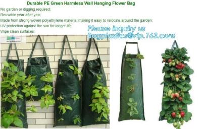 China 4 Pockets Permeable Non-woven fabric 26x65cmx1mm Vertical Wall Planting Bag for flower vegetable lettuce ferns, bagease for sale