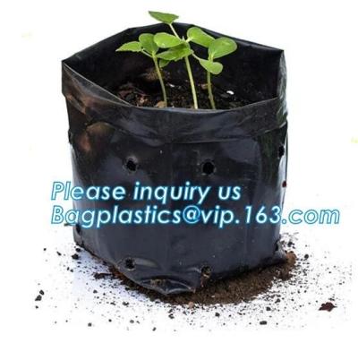China Wholesale Poly Black Square Garden Plastic Baby Flower Plant Nursery Poly Bags for Hydroponics,1gal 2gal 3gal 5gal 7gal for sale