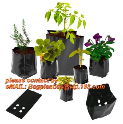 China Poly Planter, Grow Bag, garden bags, grow bags, hanging plant bags, planters, Plastic planting bags, pot, plant grow bag for sale