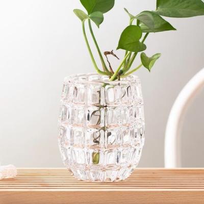 Chine Le verre de décoration de maison de forme d'oeufs met 520ml en bouteille Mini Clear Glass Vases fait à la machine à vendre