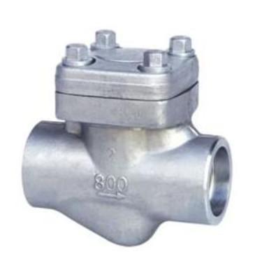 China Cryogenic Check Valve Forged Steel Material Good Sealing Performance for sale