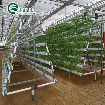 China Single Layer A-Type Hydroponics System Designed For Customization for sale