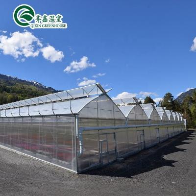 China Transparent Beach House Tent Greenhouse with Hot Galvanizing Aluminum Steel Structure for sale