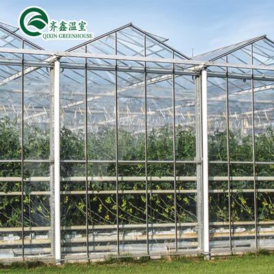 China Polycarbonate Sheet Aquaponic Tomato Galvanized Steel Pipe For Prefabricated PcTent Greenhouse for sale