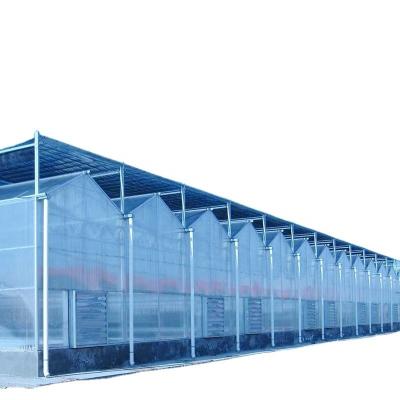 China Main Structure Hot Galvanizing Aluminum Steel Prefabric Green House for Tomato Growing for sale