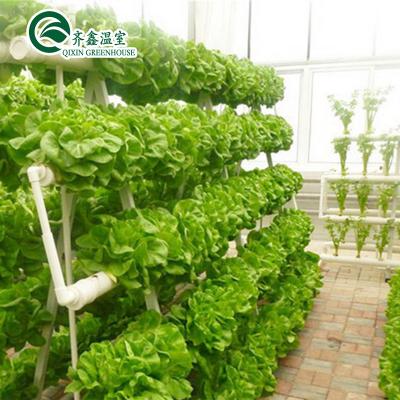 China Tomatoes Vertical Hydroponic System for Multi-Span Greenhouse Sales in Netherlands for sale