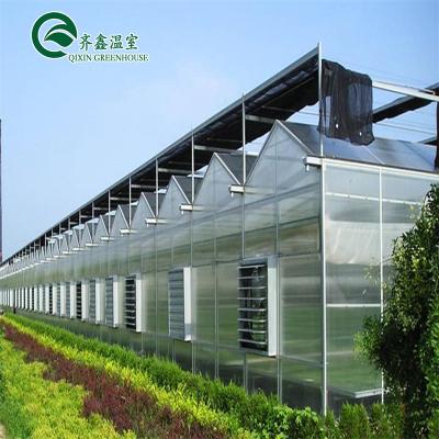 China Venlo Multi-Span Greenhouse Enhance Agriculture with Inside and Outside Shading System for sale