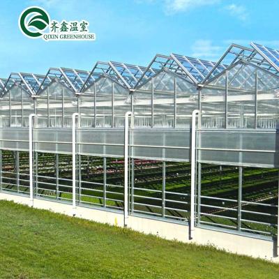China Vegetable Fruits Flowers Tomatoes Greenhouse with Inside and Outside Shading System for sale