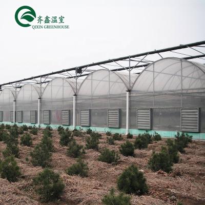 China Large Steel Greenhouse Structure Shed Design With 150/200micro PE Film Covering for sale