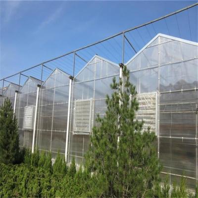 China Large Venlo Glass Greenhouse Perfect Fit For Plant Growth Needs for sale