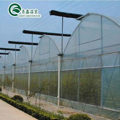 China Plastic Film Covered Polytunnel Greenhouse with Hydroponic System and Ventilation for sale