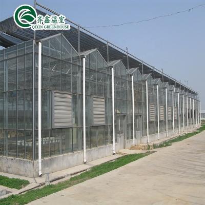 China Venlo Galvanized Steel Pipe Greenhouse with Tower Garden and Optimal Shading System for sale