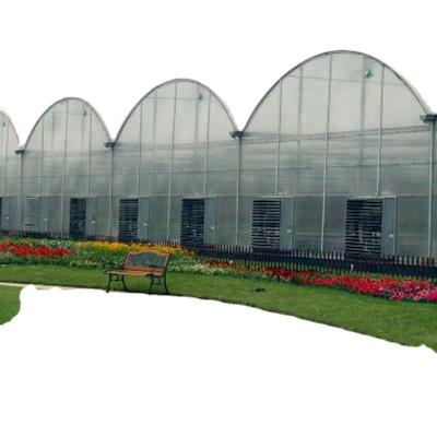 China 30 x 100 Vegetable Growing Film Covered Multi-span Arch Greenhouse with PO Cover for sale