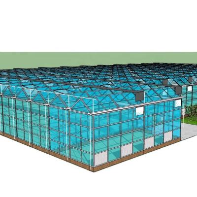 China Vegetable Fruits Flowers Aquaponics System Multi-Span Agricultural Greenhouses Yield for sale