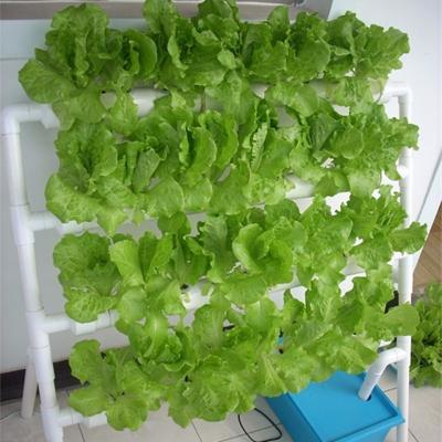China PO The Ultimate Solution for Vertical Farming in Multi-Span Agricultural Greenhouses for sale