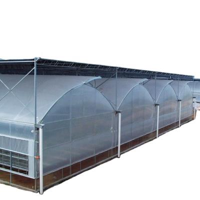 China Multi-Span Greenhouse Film Customized for UV Protection and Optimal Growing Conditions for sale