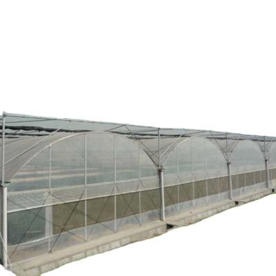China Ventilation Vents for Optimal Growth of Tomatoes and Other Vegetables in Greenhouse for sale