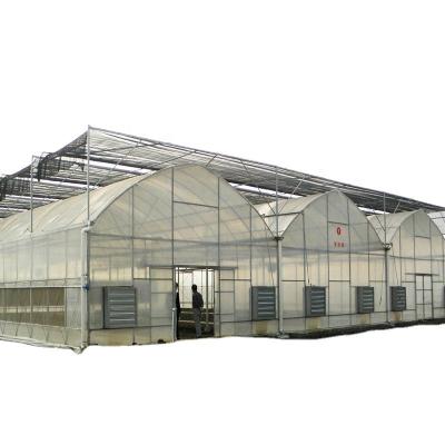 China Revolutionize Agriculture Inside and Outside Shading System for Hydroponic Greenhouse for sale