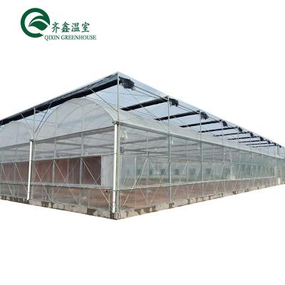 China Double-Layer Hydroponic Greenhouse for Growing Tomatoes in Controlled Environment for sale