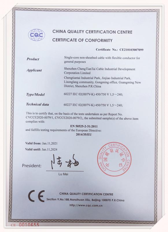 60227 IEC 02 (H07V-K) - Shenzhen Chengtiantai Cable Industry Development Co.,Ltd