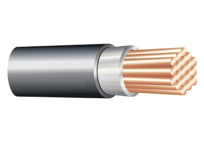 China 1*120 sq. el milímetro 0.6/1 kilovoltio XLPE aisló el cable (Unarmoured), cable eléctrico del conductor de cobre en venta