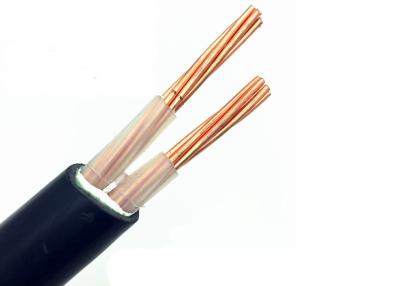 中国 無鉛2つはXlpeケーブル、発電所のための2*16スクエアMmの銅ケーブルの芯を取ります 販売のため