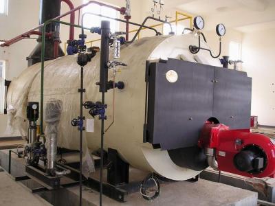 China 10 Ton Natural Gas Fired Steam Boiler for sale