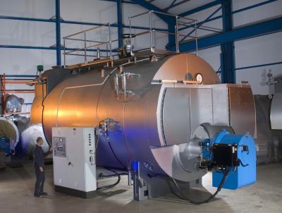 China Dual Fuel Gas Oil Fired Steam Boiler for sale