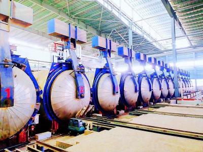 China Customized Sand  fully automatic autoclave Building Materials Production Line for wood for sale