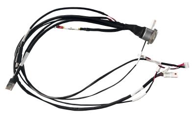 Chine 40 Cœur 8P8C Harness de câble électrique UL1007 Plugs de harnais de câble automobile multicœur à vendre